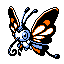 pokemon lazarus Beautifly
